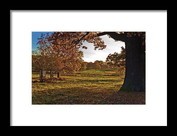 Sunny Framed Print featuring the photograph Sunny Richmond Autumn by Maj Seda