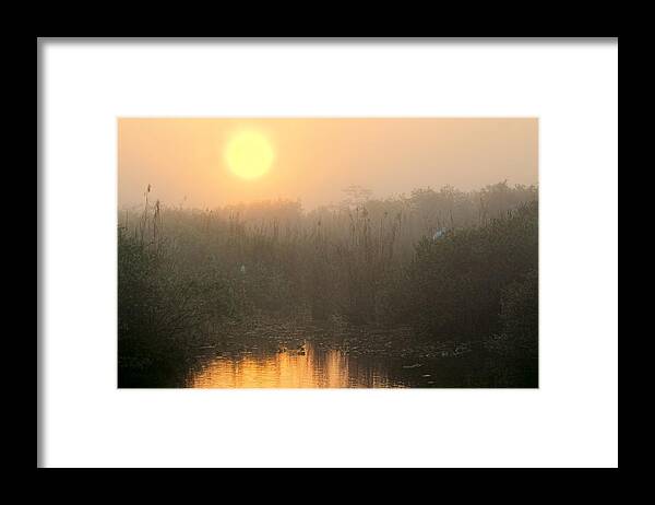 Everglades Framed Print featuring the photograph Sunrise in the Everglades by Rudy Umans