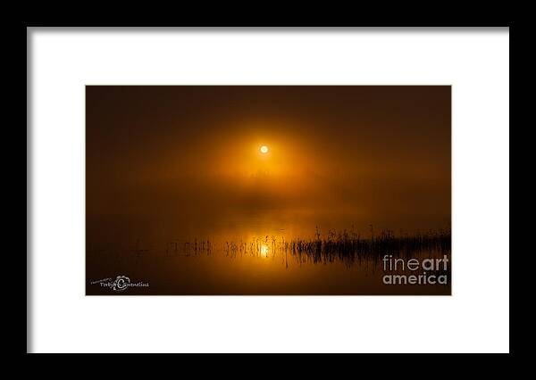 Sunrise In The Fog Framed Print featuring the photograph Sunrise in the fog by Torbjorn Swenelius