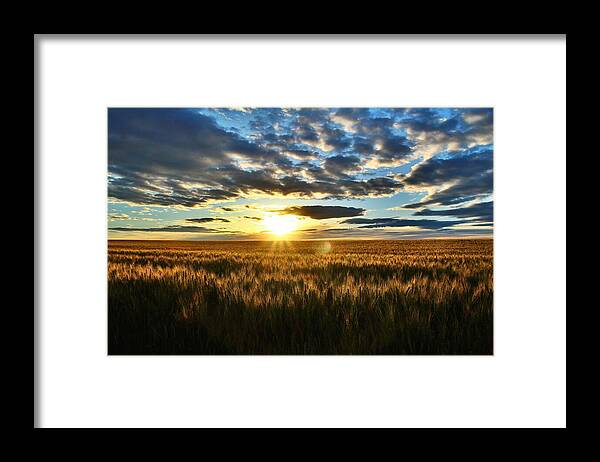 Sunrise Framed Print featuring the photograph Sunrise on the wheat field by Lynn Hopwood