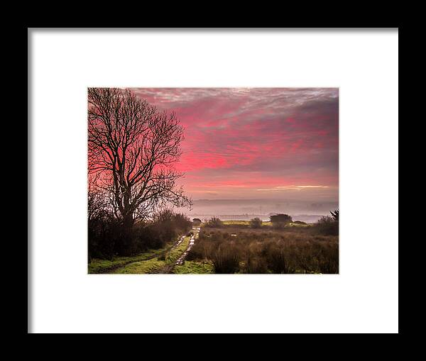 Ireland Framed Print featuring the photograph Sunrise over Decomade Pasture in County Clare by James Truett