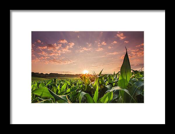 Scenics Framed Print featuring the photograph Sunrise Over Field Of Crops In France by Verity E. Milligan