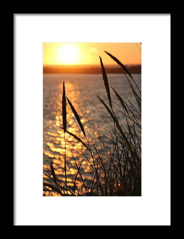 Sunset Framed Print featuring the photograph Sunset Beach by Athena Mckinzie