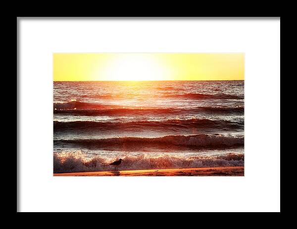 Sunset Framed Print featuring the photograph Sunset Beach by Daniel George