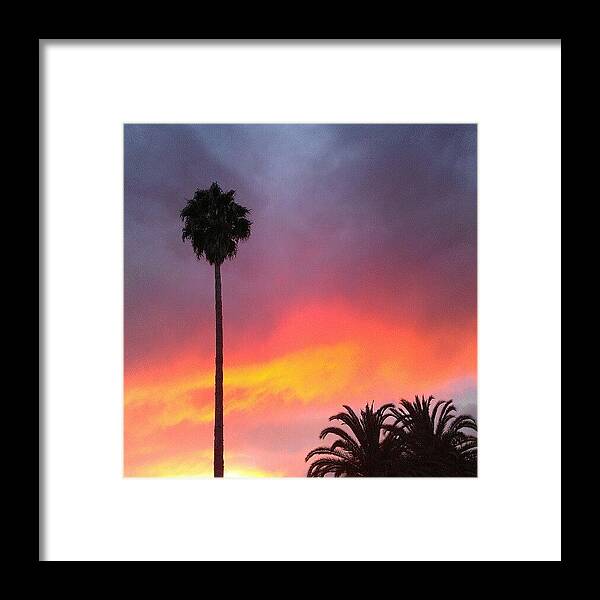 Sunset Framed Print featuring the photograph Sunset California by CML Brown