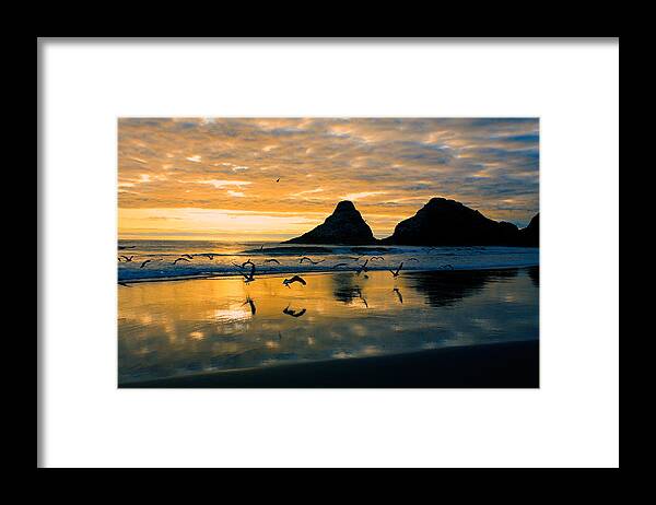 Nature Photography Framed Print featuring the photograph Sunset Flight by Bonnie Bruno