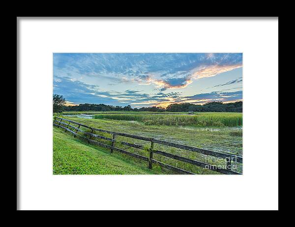 Sunset Framed Print featuring the photograph Sunset in green field by Mina Isaac