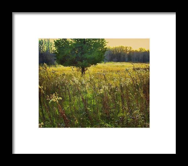 Nature Framed Print featuring the photograph Sunset Meadow by John Hansen