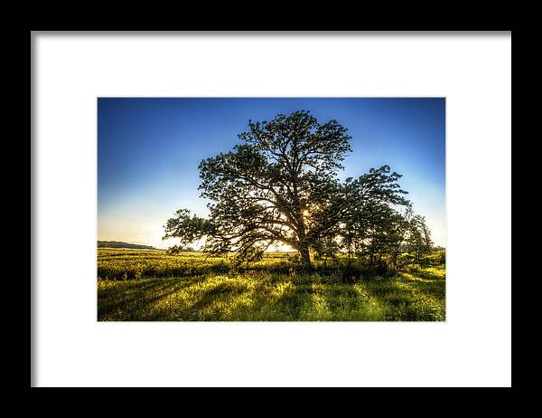 Sunset Framed Print featuring the photograph Sunset Oak by Scott Norris