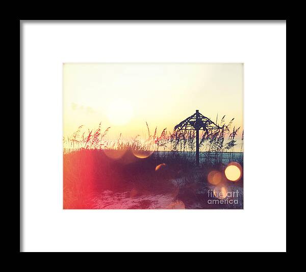Florida Framed Print featuring the photograph Sunset Palm III by Chris Andruskiewicz