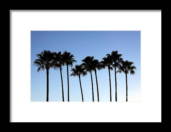 Palm Framed Print featuring the photograph Sunset Palms by Chris Thomas