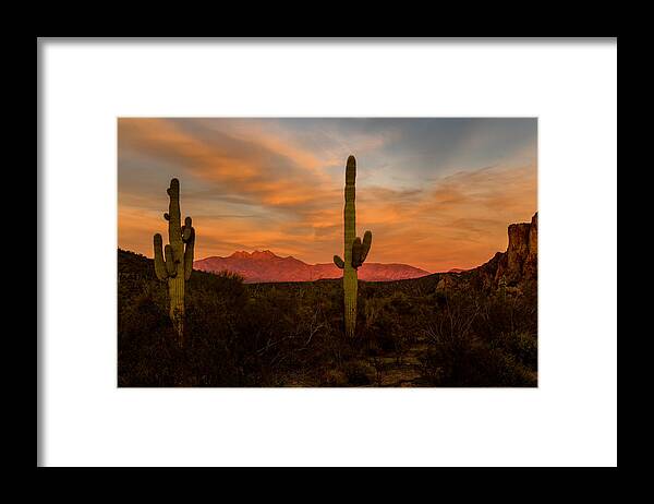 Arizona Framed Print featuring the photograph Sunset Sentinels by Mary Jo Allen