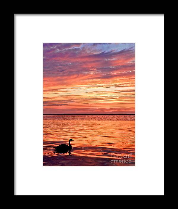 Sunset Framed Print featuring the photograph Sunset Silhouette by Mark Miller