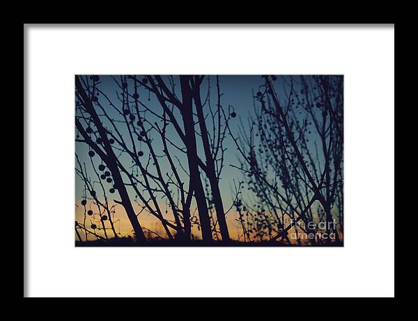 Silhouettes Framed Print featuring the photograph Sunset Through The Trees by Jennifer Ramirez