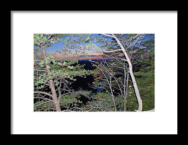 Sunset Framed Print featuring the photograph Sunset thru the Pines by Aimee L Maher ALM GALLERY