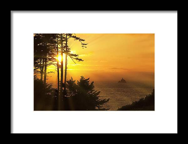Lighthouse Framed Print featuring the photograph Sunset thru the Trees by Andrew Soundarajan