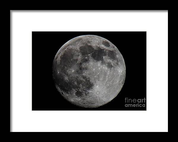 Super Moon 2014 Framed Print featuring the photograph Super Moon 2014 by Michael Tidwell