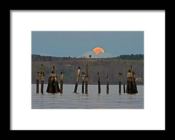 Super Moon Framed Print featuring the photograph Super Moon by Barbara West