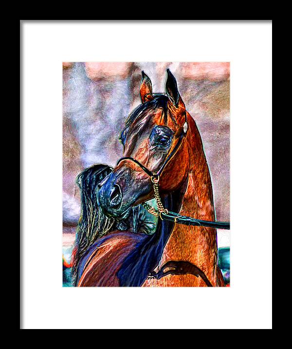 Bruce Framed Print featuring the painting Superb Stallion by Bruce Nutting