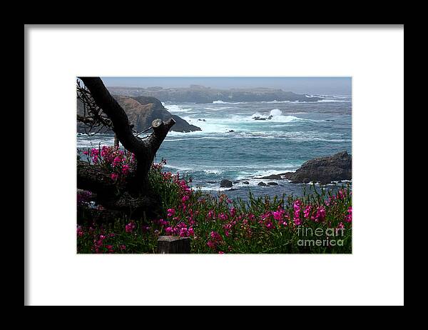 Surf And Turf Framed Print featuring the photograph Surf and Turf by Patrick Witz