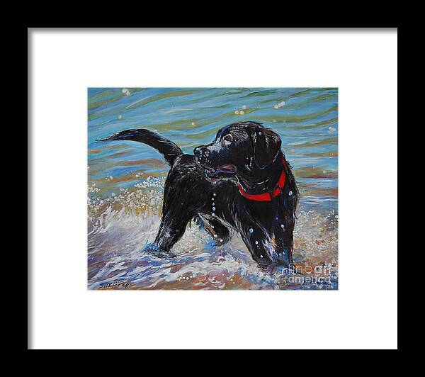 Black Labrador Retriever Puppy Framed Print featuring the painting Surf Pup by Molly Poole