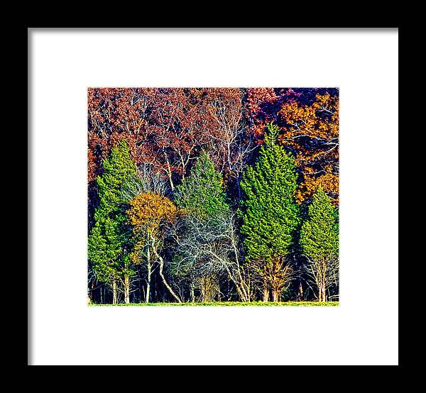 Forest Framed Print featuring the photograph Surreal Autumn Colors by Constantine Gregory