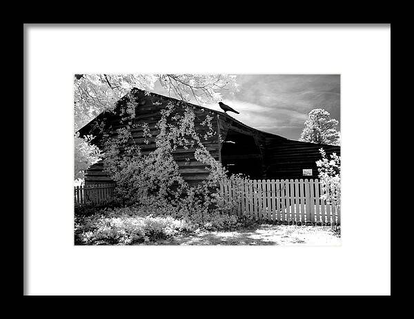 Surreal Infrared Landscape Framed Print featuring the photograph Surreal Black And White Infrared Gothic Nature Barn Landscape With Black Raven by Kathy Fornal