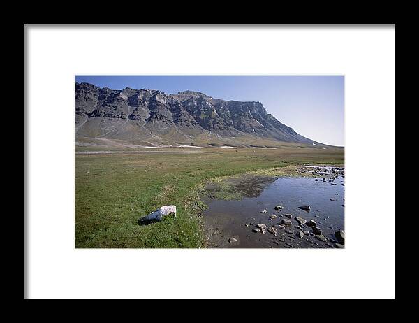 Feb0514 Framed Print featuring the photograph Svalbard Reindeer In Arctic Meadow by Tui De Roy