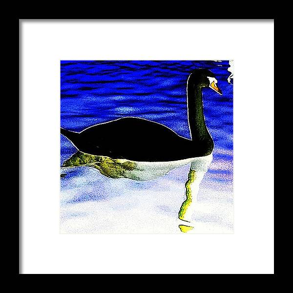 Spiritual Framed Print featuring the photograph Swam Lake 2 - Odile by Urbane Alien