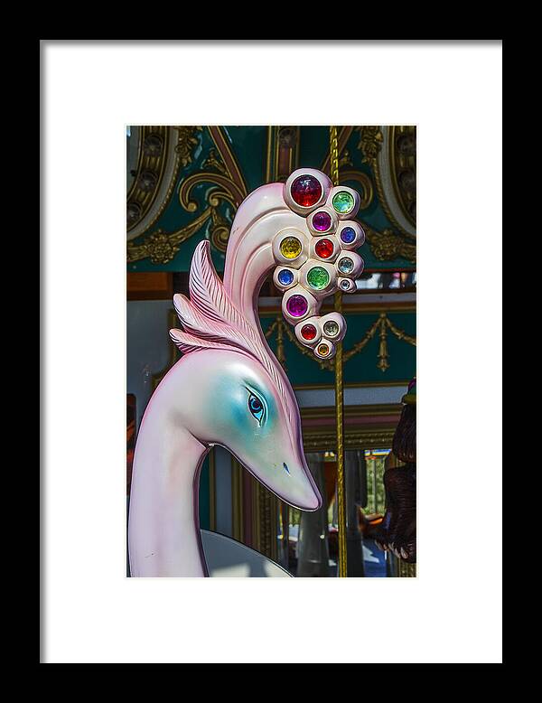 Swan Framed Print featuring the photograph Swan Carrsoul Ride by Garry Gay