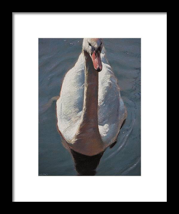 Animal Framed Print featuring the pastel Swan by Christopher Reid