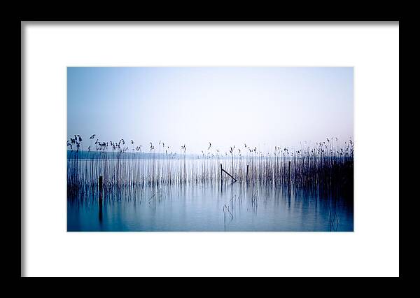 Bavaria Framed Print featuring the photograph Sway by Alexander Kunz