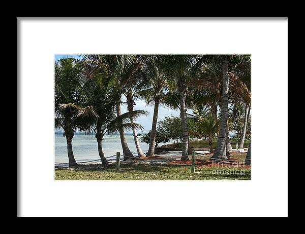 Palm Trees Framed Print featuring the photograph Swaying in the Breeze by Rosemary Aubut