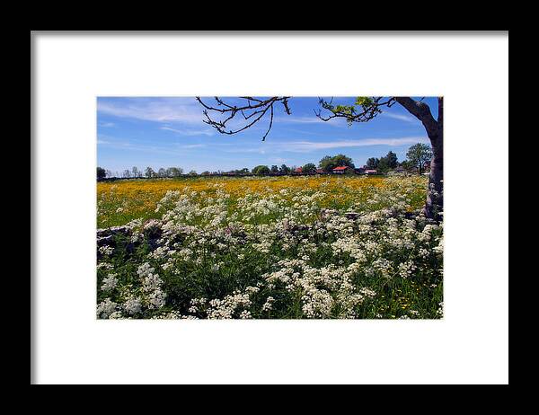 Oland Framed Print featuring the photograph Swedish Countryside by Jim McCullaugh