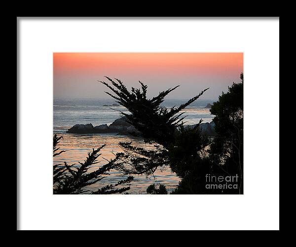 Seascape Framed Print featuring the photograph Sweet Dreams by Ellen Cotton