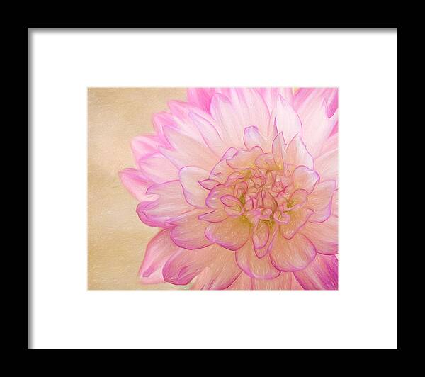 Pink Dahlia Framed Print featuring the photograph Sweet Memories by Kim Hojnacki