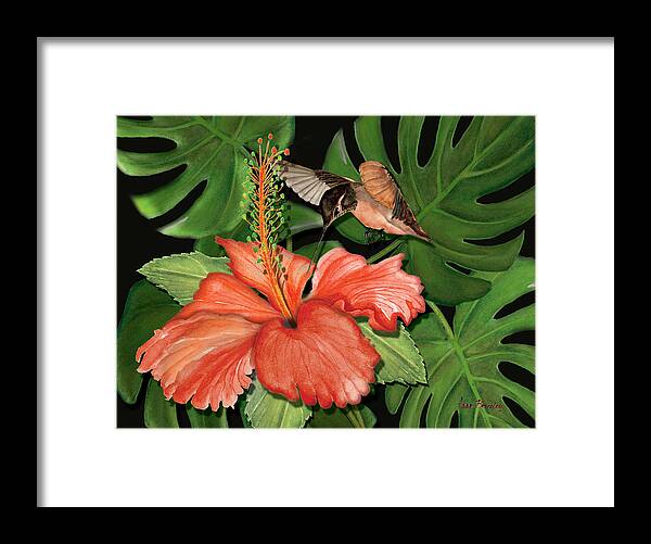 Hummingbird Framed Print featuring the painting Sweet Nectar by Anne Beverley-Stamps