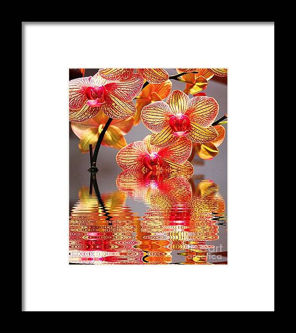Orchid Framed Print featuring the photograph Sweet Orchid Reflection by Judy Palkimas