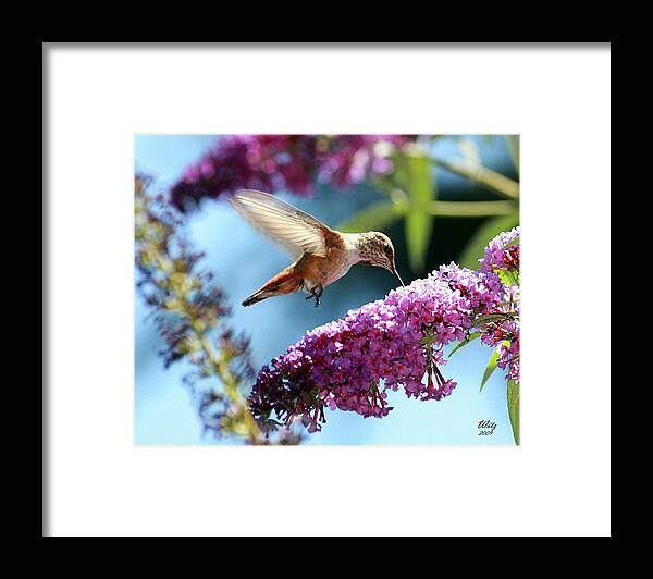 Sweet Framed Print featuring the photograph Sweet by Patrick Witz