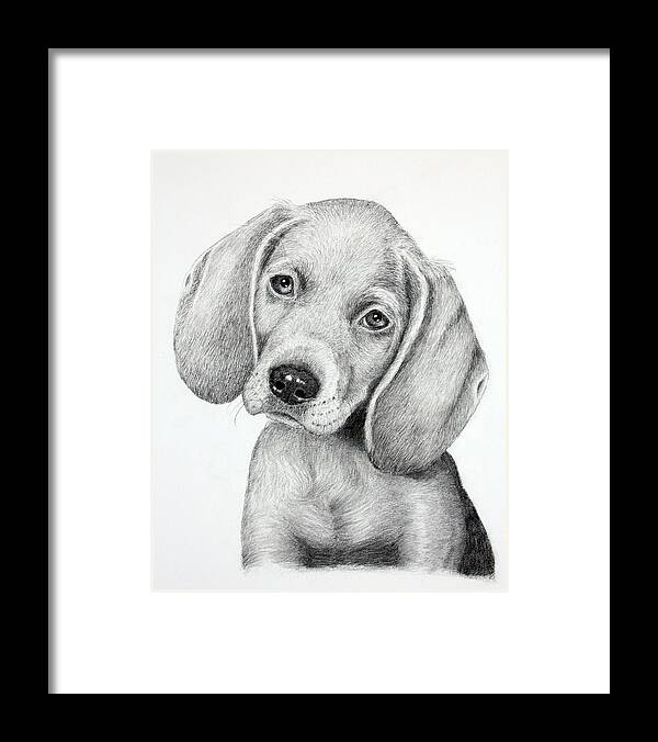 Puppies Framed Print featuring the drawing Sweet Puppy Love by Lorraine Foster