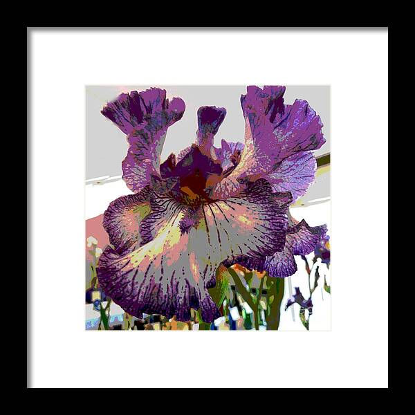 Iris Framed Print featuring the photograph Sweet Purple by Sally Simon