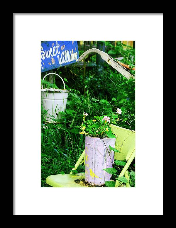 Chair Framed Print featuring the photograph Sweet William by Trish Mistric