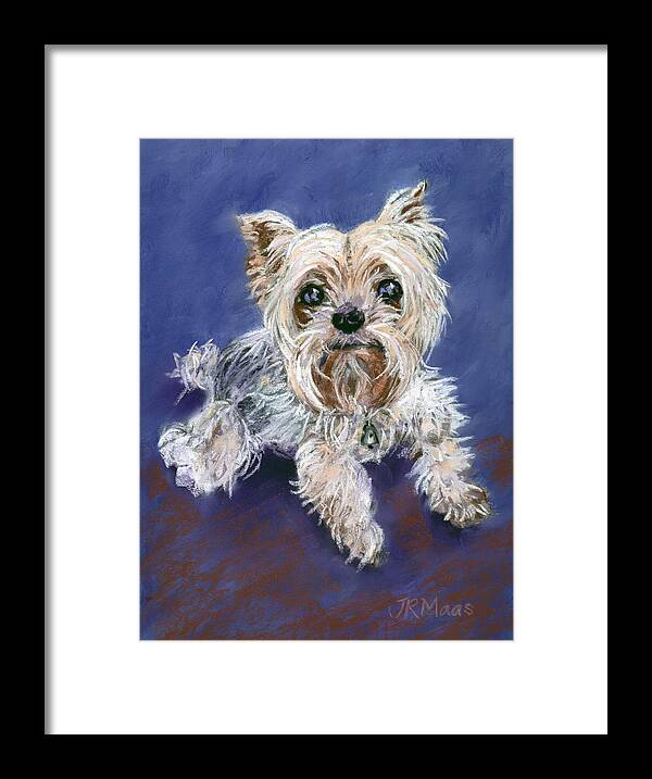 Yorkshire Terrier Framed Print featuring the pastel Sweet Yorkie by Julie Maas