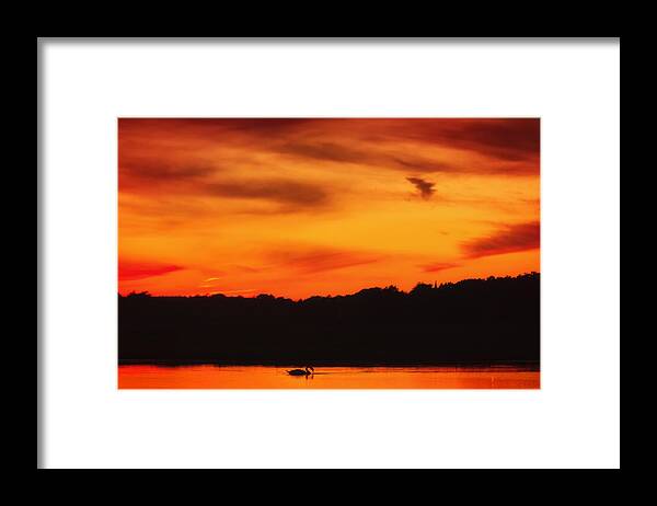 Swan Framed Print featuring the photograph Swimming in Sunset Skies by Sylvia J Zarco