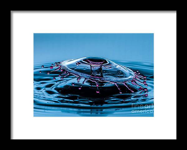 Water Framed Print featuring the photograph Swinger water splash by Anthony Sacco