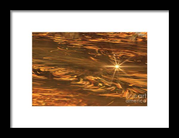 Leaves Framed Print featuring the photograph Swirling Autumn Leaves by Geraldine DeBoer