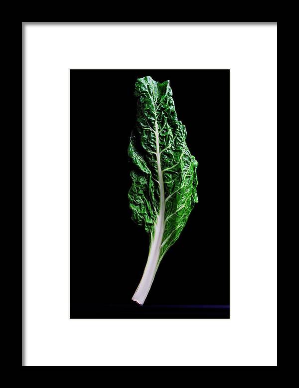 #faatoppicks Framed Print featuring the photograph Swiss Chard by Romulo Yanes