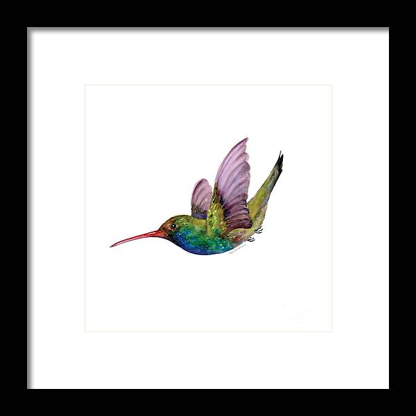 Bird Framed Print featuring the painting Swooping Broad Billed Hummingbird by Amy Kirkpatrick