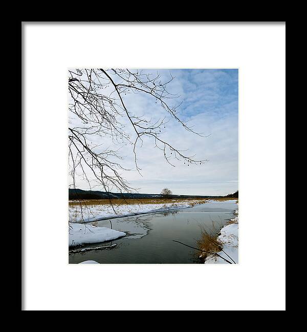 Sycamore Tree Framed Print featuring the photograph Sycamore Over Water by Azthet Photography