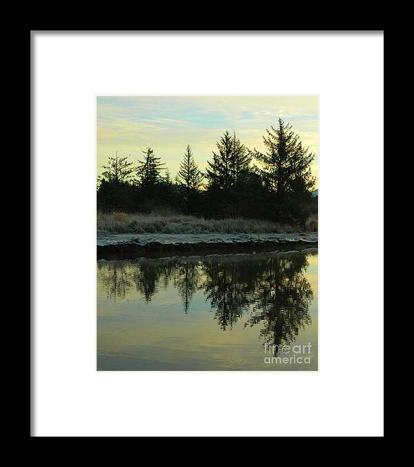 Trees Framed Print featuring the photograph Symmetry by Gallery Of Hope 